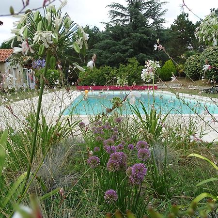 Villa Entiere Du Chateau Lacroix De Civrac 3 Ch, 3 Sdb, Piscine Xxl,Sauna, 4 Etoiles,7 Pers Exterior photo